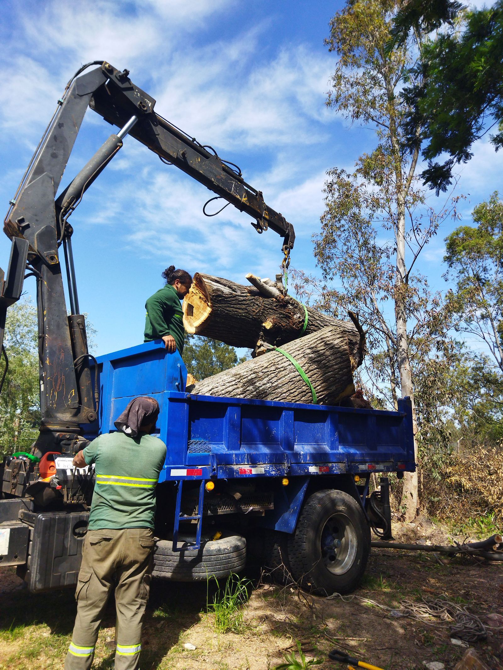Tree crew removing storm-damaged tree sections in Kennesaw GA