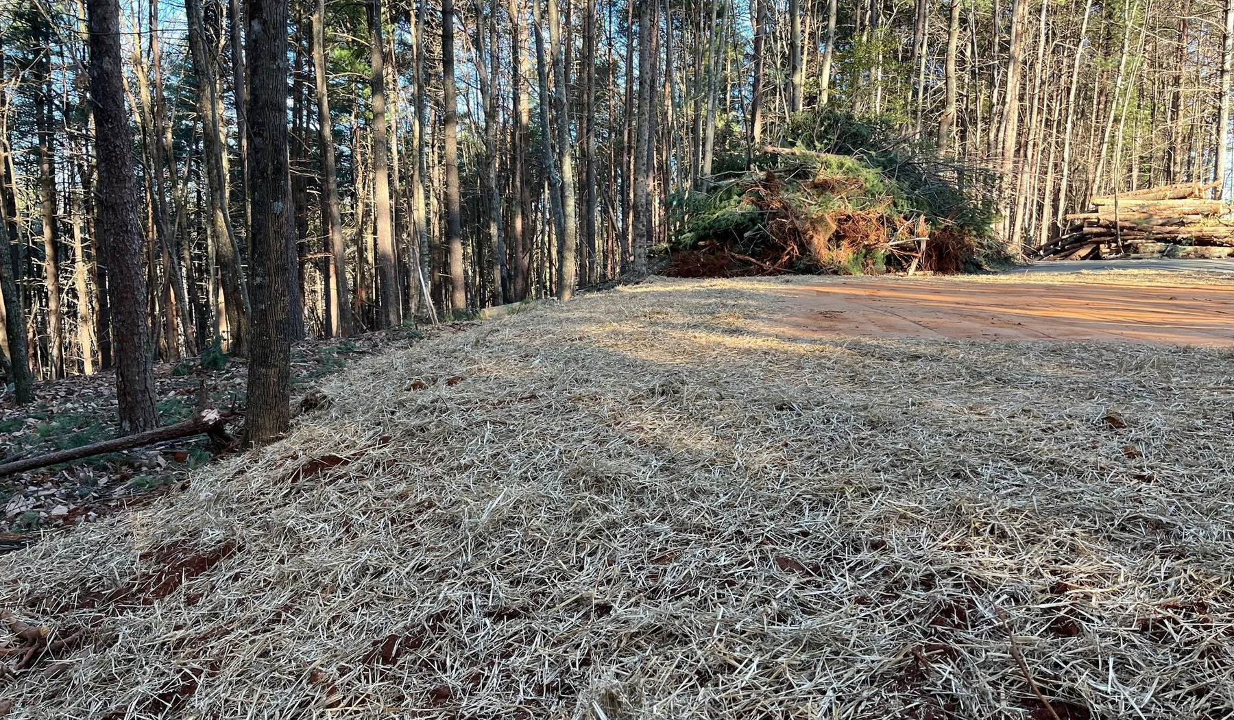 Tracked equipment removing brush and woody debris in Kennesaw Georgia