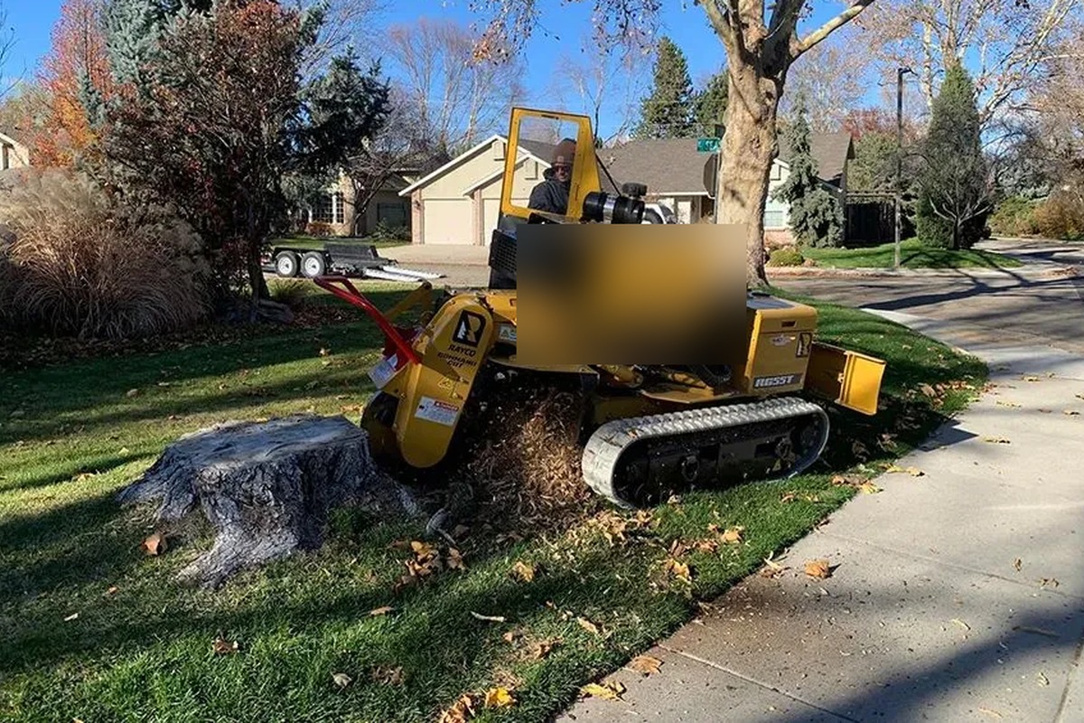 Large stump removal with professional grinding equipment in Kennesaw Georgia
