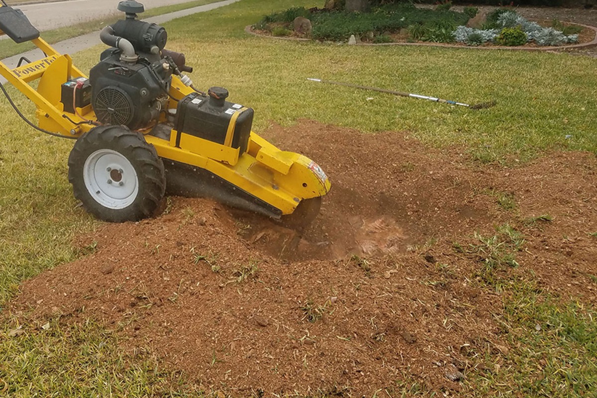 Grinding exposed stump roots near a residential lawn in Kennesaw Georgia