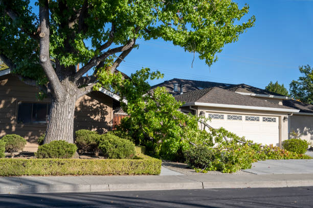 emergency tree service in Kennesaw GA removing fallen tree branches near residential home