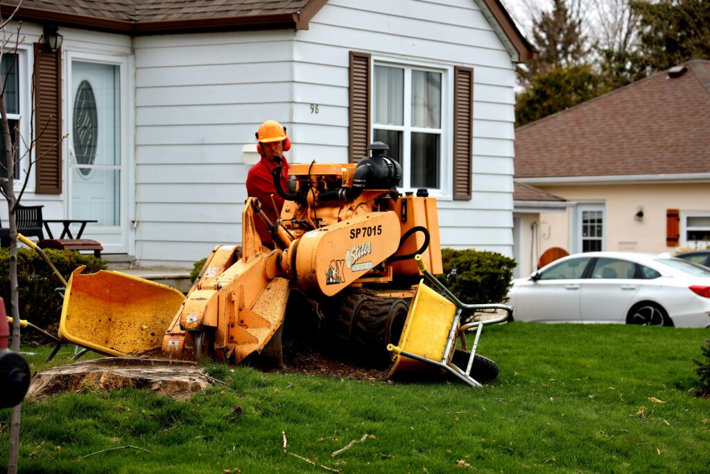 stump grinding service in Kennesaw GA removing large tree stump near residential property