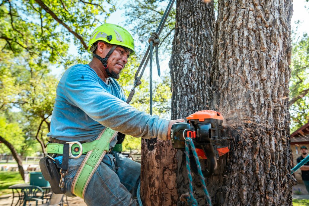 tree removal service in Kennesaw GA cutting large tree near residential property