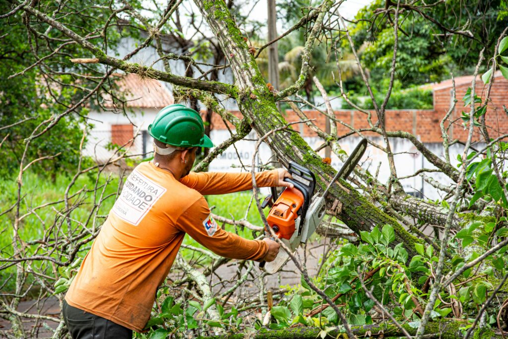 tree service in Kennesaw GA trimming large tree near residential home